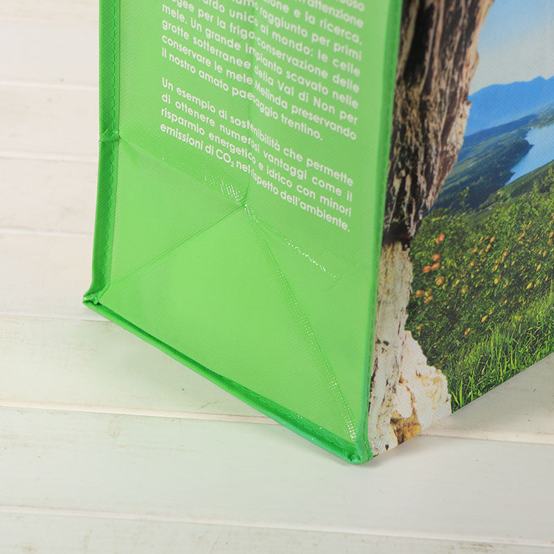 PP non woven bags
