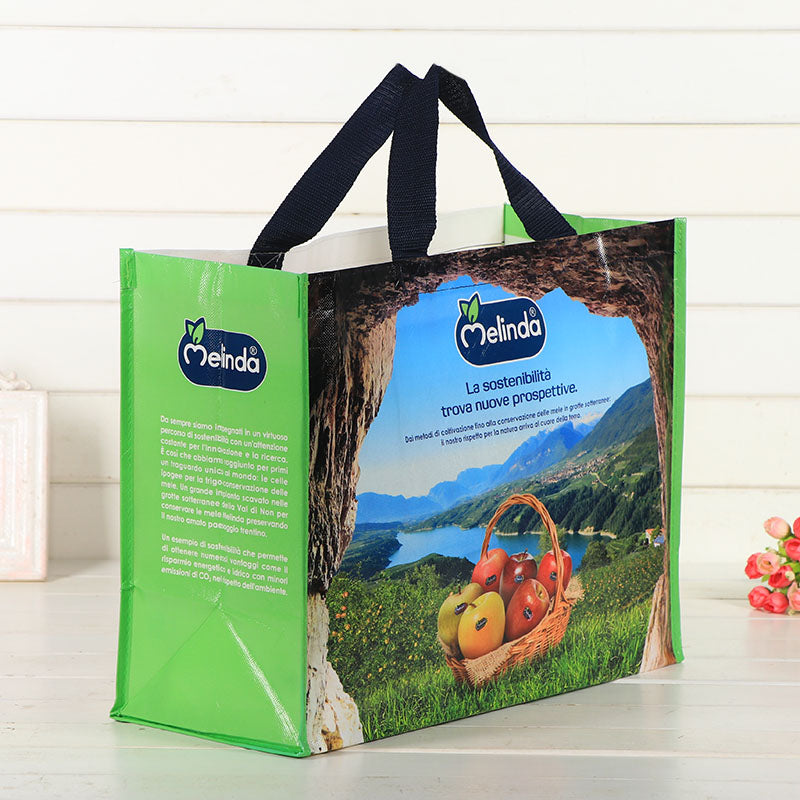 PP non woven bags